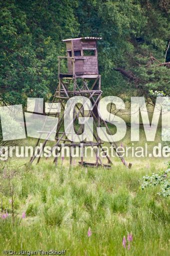 Hochstände (111 von 154).jpg